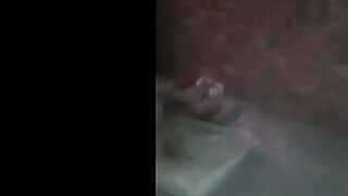 البنت الفاجرؤه واخدها حبيبها في مكان مهجور وهما قالعين لبسهم ونايم عليها ومدخبل زوبره بينيك فيها سكس مصري  بيدخلو عليها صحابه بيصوروها هي وبتتناك