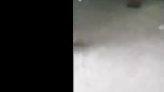 الاتنين الشباب بيخطفو البنوته الجميله من الشارع وبيقلعوها لبسها كله وهي بالاوضه المهجوره والاتنين بيغتصبوا سكس مصري  فيها وهي بتبكي اوي من شده النيك والخوف