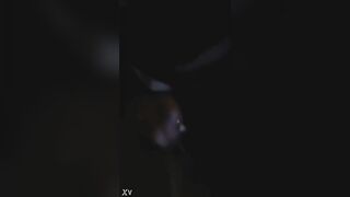 الراجل بيزنق الست بتاعته عالسلم العمارهخ وهو بيفلقس طيزها ومنزلها سكس مصري  البنطلون وشغال نيك في كسها ولا هامه حد