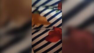 الشرموطه نايمه عالسرير بتصرخ وتصوت   سكس مصري , موقع سبعة ونص. , موقع سبعه ونص بالصوت العالي والراجل فوق منها مدخل زوبره في كسها وشغال فيها نيك