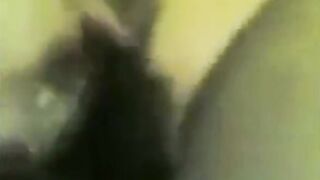 البنت تحت جوزها هاريها نيك وبينيك في كسها اوي بيرزع في كسها بعنف شديد  سكس مصري وهي بتصرخ اوي وبتبكي منه مش راحمها خالص