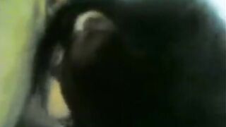 البنت المتناكه لابسه بدله رقص وفي الصاله مشغله الاغاني وبتهز في وز سكس مصري سطها وجوزها عالكنبه قاعد بيسخن في زوبره