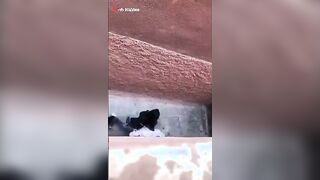 صديقي احمد مصمم انه ينام معاي ويدوق كسي الاحمر وانا بحب انفز شرمها سكس موقع سبعة ونص  له ديما رغباته وبالفعل شوفوني وانا بحضنه وبينام معاي