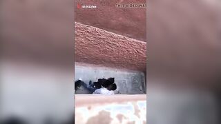 صديقي احمد مصمم انه ينام معاي ويدوق كسي الاحمر وانا بحب انفز شرمها سكس موقع سبعة ونص  له ديما رغباته وبالفعل شوفوني وانا بحضنه وبينام معاي