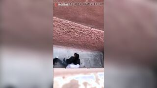 صديقي احمد مصمم انه ينام معاي ويدوق كسي الاحمر وانا بحب انفز شرمها سكس موقع سبعة ونص  له ديما رغباته وبالفعل شوفوني وانا بحضنه وبينام معاي