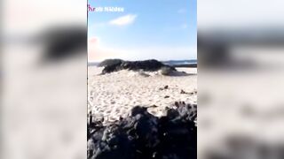 الشرموطه مع اخو جوزها بعد منزل شغله سكس مصري جديد موقع سبعة ونص  بيبقابلها بشقته وبياخدها في حضنه ويبوسها من شفايفها وهو شايلهات للسرير