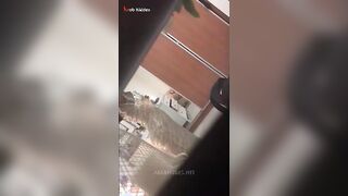 البنت في الاوضه لابسه العبايه البيضه مترتره وبتتزين عالمرايا وتسرح في شعهرها الطويل لج سكس مصري وزها قبل ميجي علشان ينام معاها بالمكياج