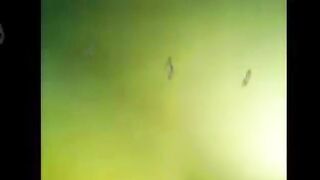 المحجبه المتناكه بتمص زوبر عشيقها في  شرمها سكس , موقع سبعة ونص. , موقع سبعه ونص العربيه وتلحث فيه اوي وهو بيفضي لبنه ويكبهم علي وشها بيترتر فيهم