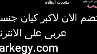 اللبوه نايمه عالسرير بالاحمر سكس مصري , موقع سبعة ونص. , موقع سبعه ونص  جنب جوزها وشغاله تحسس بيديها علي طيازها وتغريه بجمالها ولبسها علشان يقوم يركبها