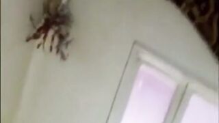 الوليه قاعده بتتفرج عالتلفزيون في الصاله ولابسه لجوزها الكركوب كاش مايوه احمر وفاتحه رجلها و سكس مصري شغاله تغريه وهو مش قادر ينيك من كبر سنه