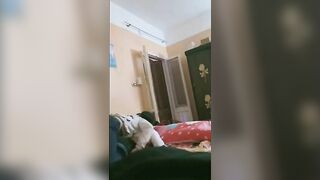 البنت الشرموطه بتقابل خحبيبها في الشقه ومنومها عالمرتبه عالارض وشغال فيها بوس مشبك وبيديه بتحسس  سكس مصري علي طيزها وهي قافشه في زوبرهخ بتلعب فيه