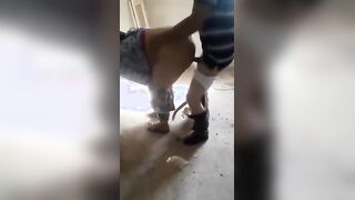 البنت جيبه زوبر صناعي وبتحطه في كسها هي ونايمه عالارض علي ضهرها وبتتناك منه اوي وهي متكيفه ومغمضه  سكس مصري عنيها وبوزقها بالصوت الهادي بيقوزل اااه