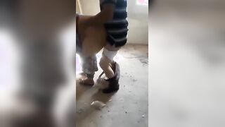 البنت جيبه زوبر صناعي وبتحطه في كسها هي ونايمه عالارض علي ضهرها وبتتناك منه اوي وهي متكيفه ومغمضه  سكس مصري عنيها وبوزقها بالصوت الهادي بيقوزل اااه