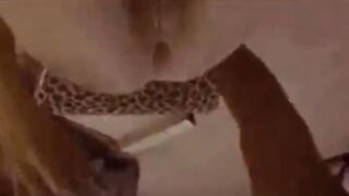 المتناكه وافقه عالكرسي وهي منزله الاندلر الفتله بتاعها لتحت وبتمسك زوبر الراجل واقف وراها بتدخله بيديها في كس سكس مصري ها وهو بيمسكها من وسطها بيشتغل رزع فيها