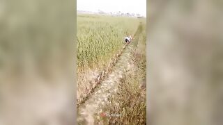 جوزي مفلقس طيزي علي اساس هينيك كسي وهو ابن المتناكه بيغدر بيا وبيدخله في طيزي خلاهتا تتفشخ وتنزف سكس مصري  دم من كبر زوبره عليها اااه ي طيزي اااه