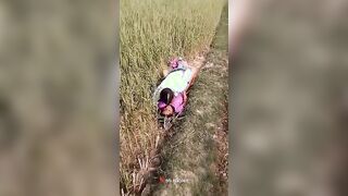 جوزي مفلقس طيزي علي اساس هينيك كسي وهو ابن المتناكه بيغدر بيا وبيدخله في طيزي خلاهتا تتفشخ وتنزف سكس مصري  دم من كبر زوبره عليها اااه ي طيزي اااه